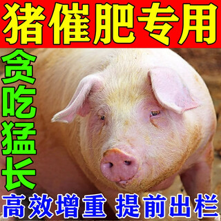 Veterinary fattening additives to promote fattening and weight gain, growth-promoting pig fattening additives premix, veterinary fattening feed, single package, single package