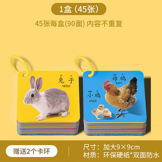 爱宝熊动物卡片早教认知启蒙书儿童识字宝宝看图识物图幼儿数字益智玩具 【1盒】动物世界【加厚45张】