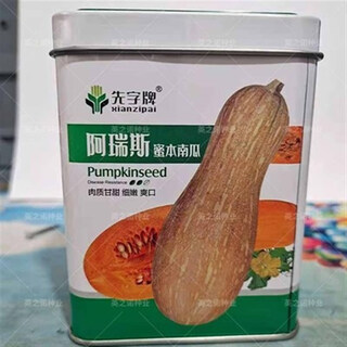 Qingyi xuanmi ben pumpkin seed high yield sweet noodle giant cream chestnut pumpkin golden hook pumpkin field planted vegetable seed ares canned 50g base use