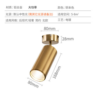 祎琳（yilin）北欧金色射灯店铺商用客餐厅家用衣帽间灯服装店中性无频闪轨道灯 金色轨道20瓦默认中性光