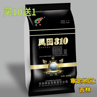 Семена кукурузы нового типа fengtian 310 (фиолетовый стебель и большая длинная палочка) устойчивы к полеганию, болезням, не устойчивы к початкам, хорошая урожайность и высокая урожайность. Новый тип fengtian 310 5500 зерен x1 мешок