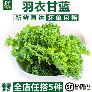 Qianniu youfu kale 250g-500g fresh vegetable salad ingredients young leaf kale kale fitness juice 500g