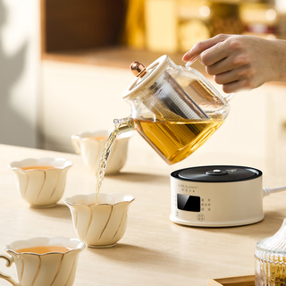 Life element health pot, scented tea maker, office high borosilicate glass pot body, electric kettle, mini intelligent appointment timer, mother and baby milk adjustment thermostat d83