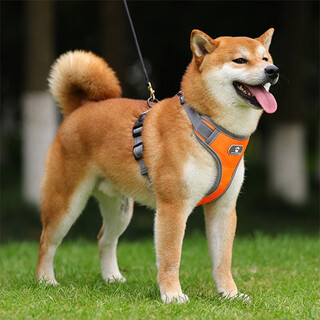 Peite pet dog leash vest type harness explosion-proof small and medium-sized dogs shiba inu pet supplies dog chain dog walking leash oxford cloth orange (free leash) m (12-32jin jin equals 0.5 kg)