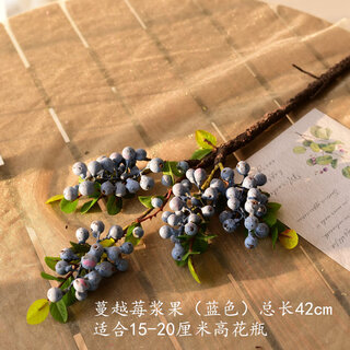 Xushansi cranberry berry artificial flower and fruit branch fruit fruit american shooting props nordic pastoral cranberry berry-blue