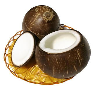 Cabuno hainan coconut wenchang green coconut fresh seasonal milk coconut king seasonal tropical old coconut fruit hotel stew cup pre-opened old coconut king 5 pack