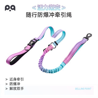 Slim pet dog explosion-proof traction rope telescopic pet dog walking rope golden retriever labrador large dog explosion-proof elastic rope seven colors one size fits all