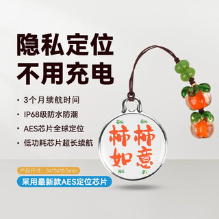 DEMOVK儿童定位器gps防丢定仪器gps追跟器迷你小孩追踪airtag防丢 【精准定位+免充电待机90天】柿柿如意