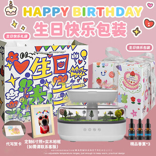 South sandwich aromatherapy machine automatic fragrance machine white noise humidifier desktop micro landscape home bedroom silent colorful ambience light large fog white noise aromatherapy humidifier simulated raindrops + micro landscape + birthday packaging, gift bag