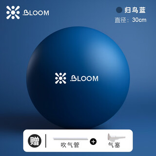 Liveup sports pilates ball thickened explosion-proof yoga ball fitness shaping fitness supplies mini yoga ball 20cm30cm guiniaolan-30cm