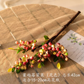 Xushansi cranberry berry artificial flower and fruit branch fruit fruit american shooting props nordic pastoral cranberry berry-color