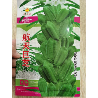 Dwarf small white sesame seeds, more oily, stain-resistant, high-yielding, easy to plant in large fields, resistant to lodging, aerospace giant sesame seeds 100g original, high-yield and disease-resistant