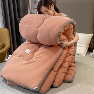 Aisiju thickened warm quilt winter quilt core single student dormitory spring and autumn thin 1.5m quilt double 1.8m space quilt universal for all seasons dirty powder 150*200cm (6jin jin is equal to 0.5kg)