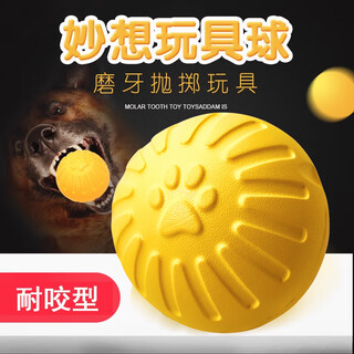 Hanhan paradise pet dog toy bouncy ball bite-resistant dog training artifact large, medium and small border collie teddy can't bite puppy toy