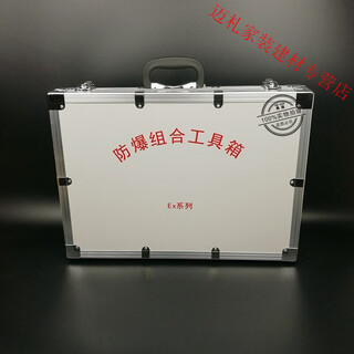 Explosion-proof tool box aluminum alloy outer box customized explosion-proof tool box with various specifications model size small size (300*200*100mm)