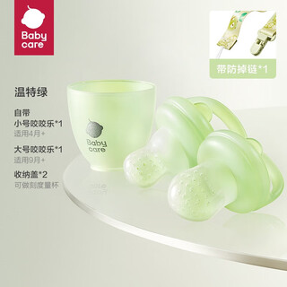 Babycare baby food fruit and vegetable bite bag silicone toy teething baby fruit food supplement with anti-falling chain winter green 2 pack