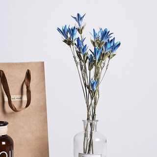 Aiman yunnan dried flower bouquet natural real flowers octagonal flower magnolia flower small lily living room decoration soft furnishing matching blue (1 bouquet of 30 flowers free of charge)