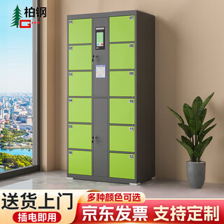 Baigang electronic locker workplace smart locker shopping mall locker face recognition 12 doors