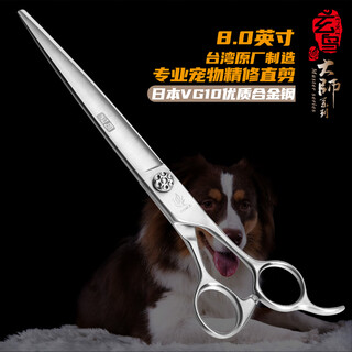 Black bird master pet scissors professional pet grooming scissors set straight curved scissors fish bone scissors dental scissors beautician shop tools bf 8.0 inches large cut straight scissors