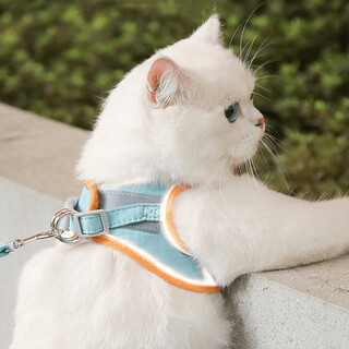 Peite pet cat traction rope vest type harness when going out to prevent break-out cat walking rope cute kitten reflective traction rope blue and pink color matching comfortable suede rope length 1.5m m size (chest 30-36cm) suitable for 5-8 jin jin equals 0.5 kg cat