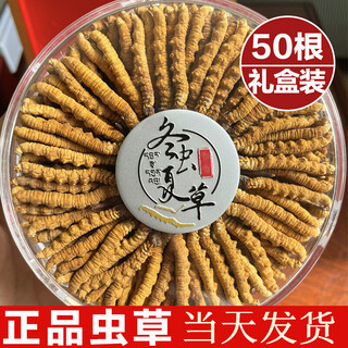 Cordyceps tonic gift box tibetan area cordyceps sinensis 2 sticks 1 gram dry goods cordyceps sinensis gift box 50 sticks 50 sticks gift box specifications 2 sticks 1 gram