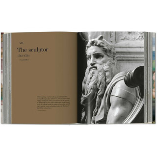Michelangelo. the complete works. paintings sculptures architecture, michelangelo's complete collection of paintings, sculptures, and architectural works
