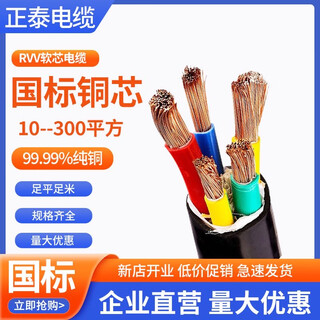 RVV正泰软电缆线2/3/4/5芯10/16/25/35/50平方国标纯铜芯阻燃软芯 软芯5*6平方一米