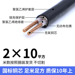 Chint yjv national standard copper core cable 2/3/4/5 core 4/6/10/16/25/35/50/120 square meters flame retardant chint thai standard 2 core 10 square meters (1 meter)