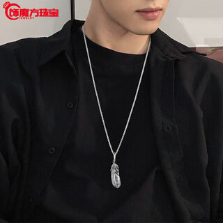 Guanpuge fat donglai same necklace for men with t-shirt 2023 titanium steel chain versatile trendy brand long style for women feather (70cm steel chain)
