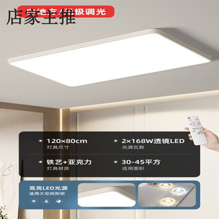Lepptoy1.2米*80客厅大灯led特大超大尺寸1米2长方形大厅主灯办公室大灯 薄白地方120x80无极168vv30-45平