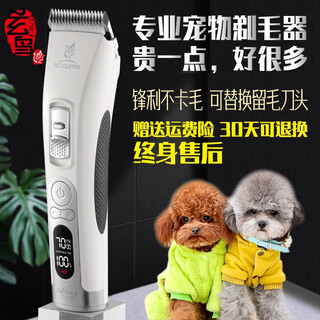 Xuanniao pet shaver, dog hair clipper, professional hair clipper head, pet shop special pet clipper, teddy cat, white, complete machine (bass, sharp and not hot)