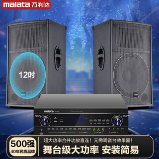 Wanlida outdoor audio set small and medium-sized performance stage wedding full-frequency high-power ktv bar speaker equipment 12-inch audio set + amplifier