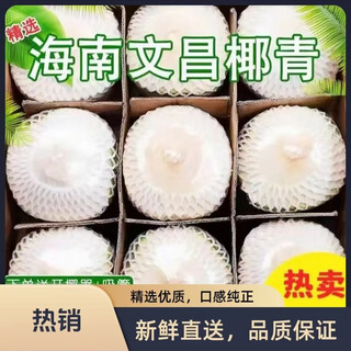 Xianyouji hainan coconut wenchang peeled green coconut replenishes amniotic fluid for pregnant women fruit large fruit fresh coconut picked now 9 pieces + coconut opener straw (single fruit 900g+
