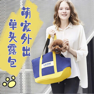 Japan doug portable outing pet backpack cat bag dog bag teddy take-out bag hand-held bag blue bag one-size-fits-all