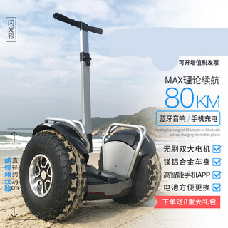 9th generation off-road two-wheeled electric balance car security patrol somatosensory two-wheeled parallel thinking car for adult transportation 9th generation battery life king 90 kilometers flash silver 60v