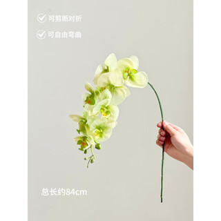 Flower e-flow phalaenopsis artificial flower fake flower table decoration light luxury high-end flower arrangement dining table floral decoration home decoration 1 branch - green smoke green phalaenopsis moisturizing feel / can