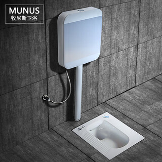 Comfortable eagle brand household flush tank set, ceramic squat toilet, anti-clogging, silent and odor-proof, complete set of squat toilet, luxury low-key brushed silver b with trap rear drainage