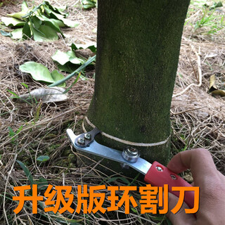Rsrddy fruit tree girdling honey pomelo tree girdling scissors girdling device lychee tree citrus peeling knife jujube tree nail opening tool 101 knife with 1 mm blade