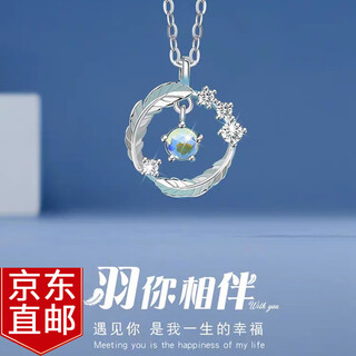 Warme farben pure silver necklace for women light luxury simple feather design clavicle chain pendant for women practical birthday gift for wife glazed stone feather necklace