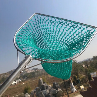 Yuyu fish strong solid iron handle copy net fish net pocket cotton rope fishing net aquatic fishing net big fish and big things