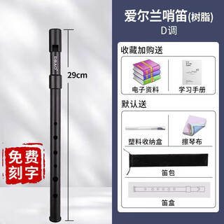 Dbao irish whistle beginners' special abs resin flute 6-hole mid-treble recorder playing instrument british six-hole d key (frosted abs material)