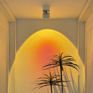 Suoyada sun never sets spotlight, adjustable angle, home wall painting atmosphere light, commercial hill wall washer, entrance mural spotlight