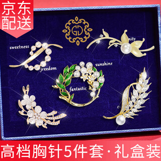 Ancient brooch, high-end ladies light luxury corsage gift box, exquisite niche pin buckle, birthday gift for ladies, practical t328 literary and fresh brooch 5-piece set