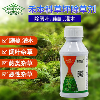 Guoguang dibu 48% triclopiroxiacetato butoxietilo ryegrass de manila graminoso asesino de césped arbusto de diente de león arbusto de bambú maleza de hoja ancha plaguicida herbicida 100 ml