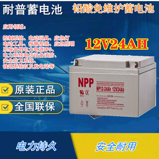 Naipu 12v24ah battery lead-acid maintenance-free np12-24ah energy storage ups power supply dc panel np12-24ah horizontal