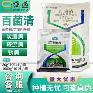 Benefit the people 75% chlorothalonil anthrax rust leaf spot downy mildew powdery mildew rice blast black pox pesticide fungicide leader