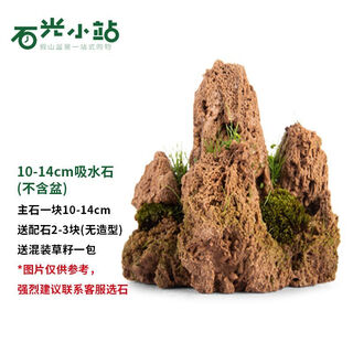Shiguang station absorbent stone natural stone bonsai fish tank courtyard large fish pond landscaping absorbent stone original stone water stone bonsai 10-14cm absorbent stone does not include basin