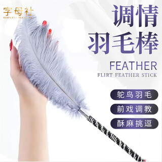 Alphabet club feather foreplay flirting sm sex props for training women's shameful torture tools breast teasing plush stick couples stimulation sexual intercourse perverted adult sex toys