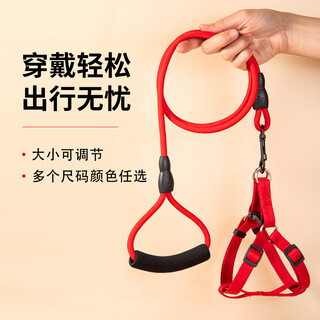Amor dog leash small dog walking leash cat rope dog harness type leash teddy puppy pet supplies red rope with chest and back s (recommended 5-12 jin jin equal to 0.5 kg)