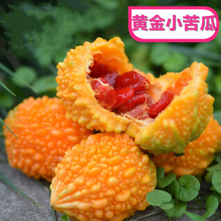 Su ruili grape seeds, bitter melon, golden bells, golden bells, golden small bitter melon seeds, balcony potted vegetable seeds, golden laigua, 2 bags